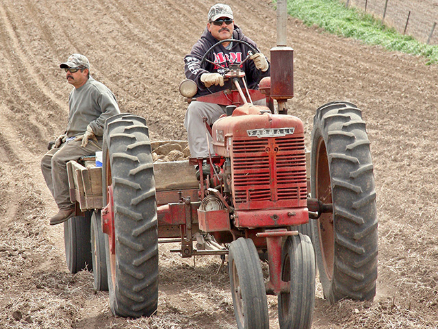 Enrique Ceja (left) and Omar Orosco remove large rocks to help prepare land for planting at HF Farms in Iowa. (DTN/The Progressive Farmer photo by Des Keller)